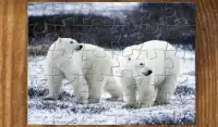 Jigsaw Puzzles with Cool Animal Pictures Screen Shot 20