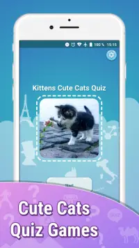 Kittens Cute Cats Quiz Question Free Games ❓🐱⁉️🐾 Screen Shot 1