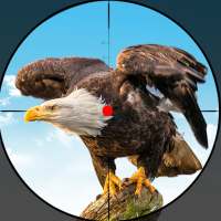 Bird Hunting 2021: Baru sniper permainan pemburu