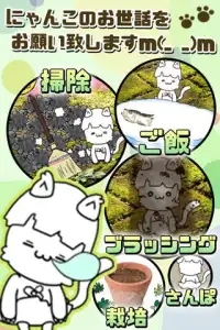 にゃんこ日和〜ほのぼの子猫育成ゲーム〜 Screen Shot 3