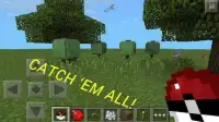 Perfect Pokémon Idea Minecraft Screen Shot 5