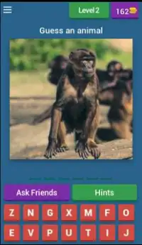 1 Pic 1 Word Animals Quiz Screen Shot 2