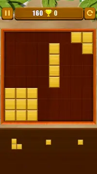 Wood Block Puzzle 2021 New Screen Shot 0