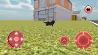 Puppy réel Simulator - Chien Screen Shot 4