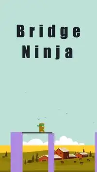 Super Bridge Ninja Hero Jump! Screen Shot 0