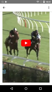 Horse Racing Latest News Screen Shot 16
