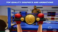 Mega Boxing - Real 3D Screen Shot 4