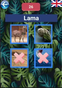Learning Animal Names Screen Shot 1