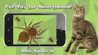 Cat Toys -SpiderHunt Cat Games Screen Shot 0