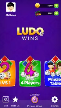 Ludo Wins Screen Shot 0