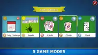 Spider Solitaire Mobile Screen Shot 1