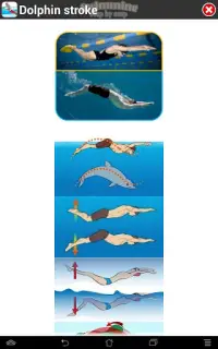 Swimming Step by Step Screen Shot 18