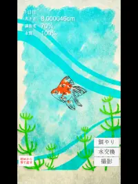 癒しの金魚育成ゲーム Screen Shot 7