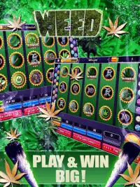 Lucky Weed - Gratis slots Screen Shot 1