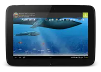 Wonder Fish Permainan Free HD Screen Shot 16