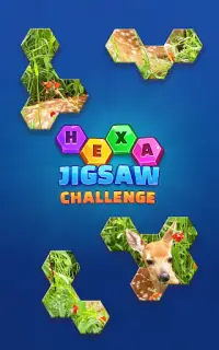 Hexa Jigsaw Challenge Screen Shot 4