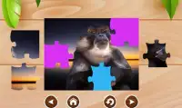 Monkeys Kid Jigsaw Puzzle Screen Shot 4