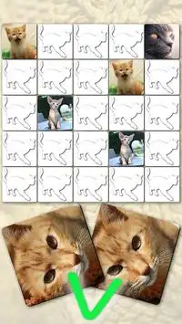 Katten Geheugen Spelletjes - Katjes Memorama Screen Shot 0