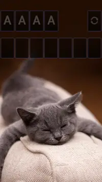 Solitaire Cute Cats Theme Screen Shot 1