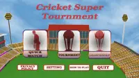 cricket super tournament Screen Shot 1