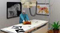 animal hôpital vétérinaire clinique monde médecin Screen Shot 4
