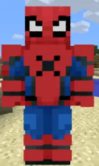 Hero Skins for Minecraft PE Screen Shot 0