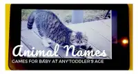Animal Names for Baby & Toddler Learning Games Screen Shot 2