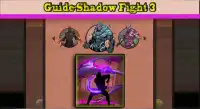 Guide-Shadow Fight 3 Screen Shot 0