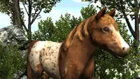 My Pony: Little Adventure Farm Screen Shot 0