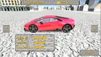 Sport Car Sim Screen Shot 2