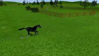 Jumpy Horse Breeding Screen Shot 1