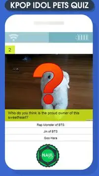 Kpop Idol Pets Quiz Game Screen Shot 2