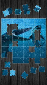 Dinosaurs Jigsaw Puzzle Screen Shot 3