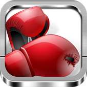 Boxing Games