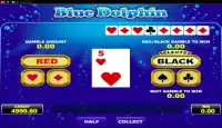 Blue Dolphin Slot Screen Shot 2