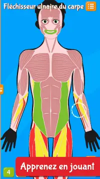 Anatomix - Le corps humain Screen Shot 1