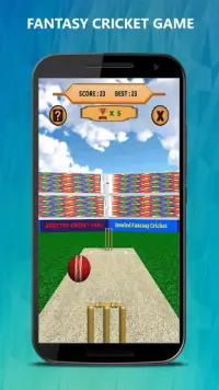 Bowled 3D - Cricket Game Screen Shot 0