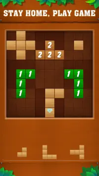 Block Wodu -  Puzzle Game Screen Shot 0