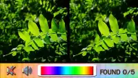 Find Difference dark green Screen Shot 0