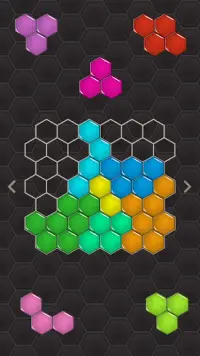 Hexa Puzzle Screen Shot 1