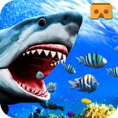 VR cá mập tấn công giận dữ xanh hale