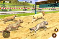 Animal Racing Simulator: Wild Animals Race Game Screen Shot 4