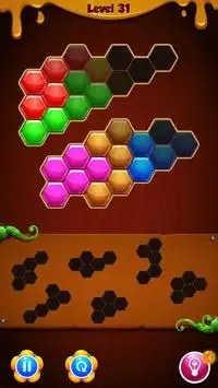 Block Hexa Puzzle Challenge Screen Shot 1