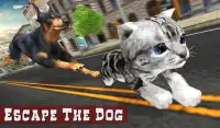 Hund gegen Katze Kampf Spiel Screen Shot 5
