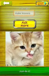 Zapytaj Cat 2 Tłumacz Screen Shot 0