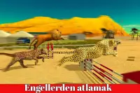 savana hayvan yarışları 3D Screen Shot 1