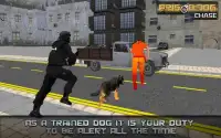 Prisoner Dog Chase Screen Shot 4