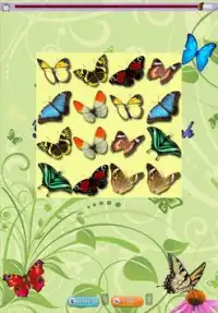 Butterfly Match Game For Kids Screen Shot 8