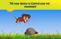 Dog Surfer: Pet Run Screen Shot 8