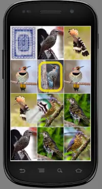Игра на память. Птицы. 6  Screen Shot 3